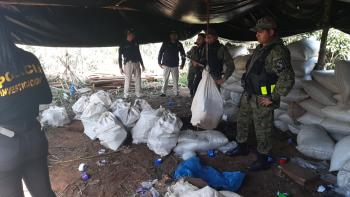 Canindeyú: Policía incautó un poco más de 3 toneladas de marihuana